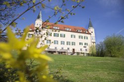 Nachhaltige Veranstaltungen in der Steiermark